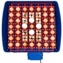 Inkubator wylęgarka do 49 jaj automatyczna z systemem nawilżania BIOMASTER 150 W