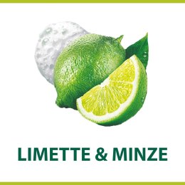Palmolive Luxury Foam Lime & Passion Fruit Pianka do Mycia Rąk 250 ml